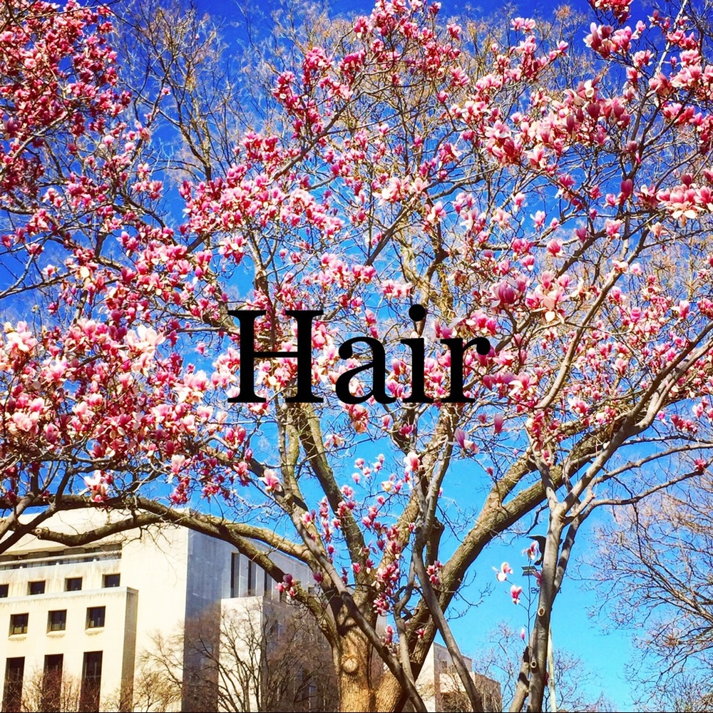 Hair products and accessories!